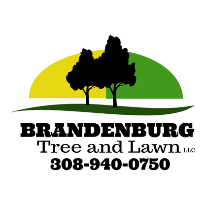 Brandenburg Tree & Lawn LLC