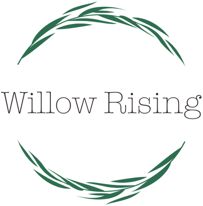 Willow Rising